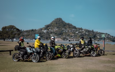 Comparing all the Popular LAMS models in New Zealand